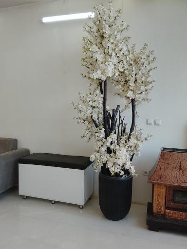 عکس سالن زیبایی اسما
