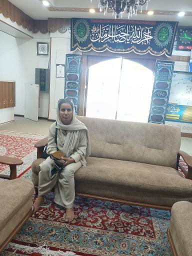 عکس زائر شهر رضوی