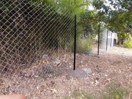 عکس جوادی پور