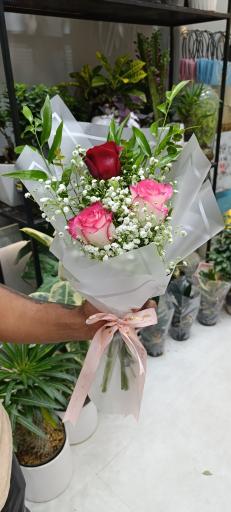 عکس گل پیونی