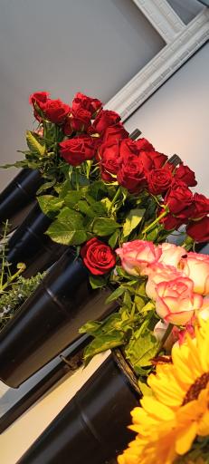 عکس گل پیونی