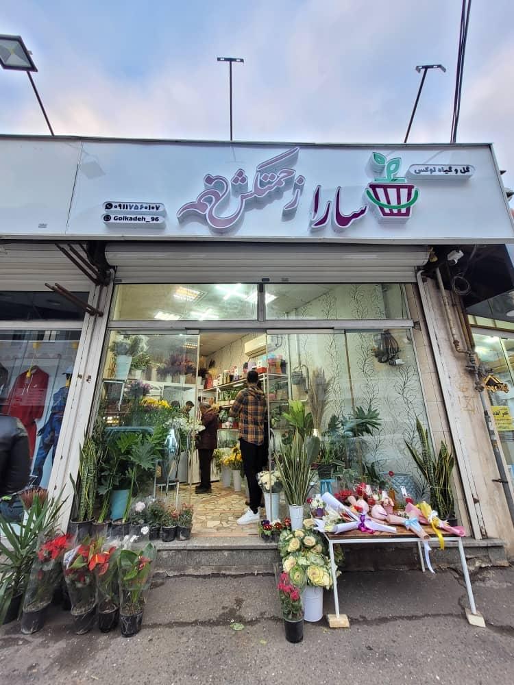 عکس گل وگیاه سارا زحمتکش 