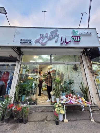 عکس گل وگیاه سارا زحمتکش 