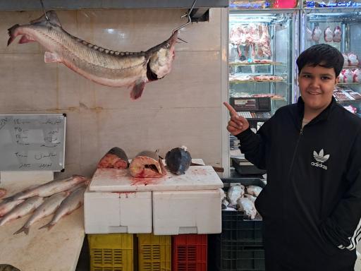 عکس بازار بزرگ مواد پروتئینی (بازار ماهی)