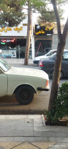 عکس مرغ ماهی پورعلی