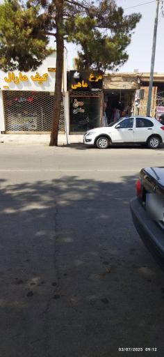 عکس مرغ ماهی پورعلی