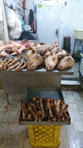 عکس بازار بزرگ مواد پروتئینی (بازار ماهی)