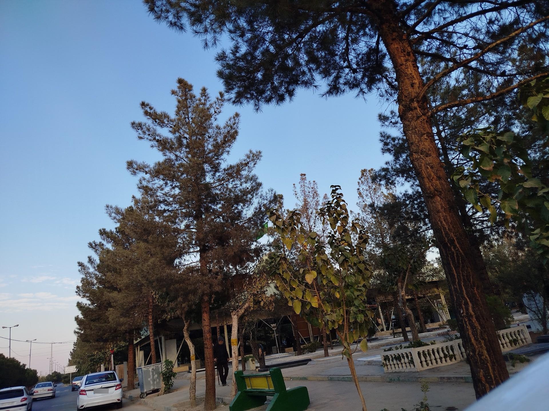 عکس حسینیه شهدای مسجد ارگ