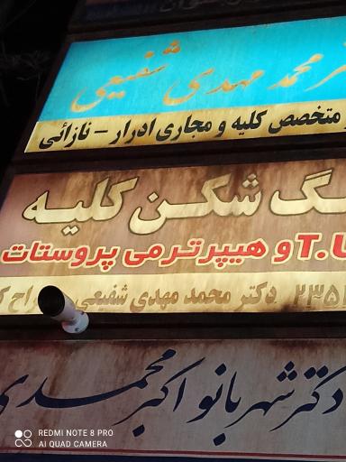 دکتر محمد مهدی شفیعی اورولوژیست