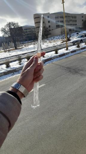 عکس دانشکده ادبیات و علوم انسانی