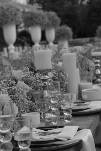 عکس باغ تالار مزرعه سبز