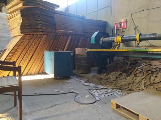 عکس کارتن سازی 121یاوری