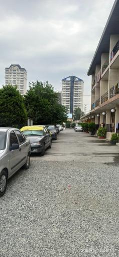 عکس متل موج