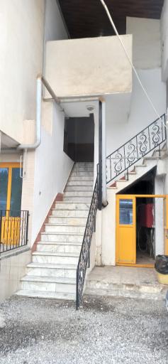 عکس متل موج