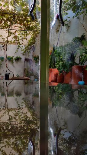 عکس کافه  دختران تبیانا