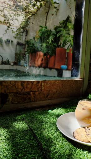 عکس کافه  دختران تبیانا