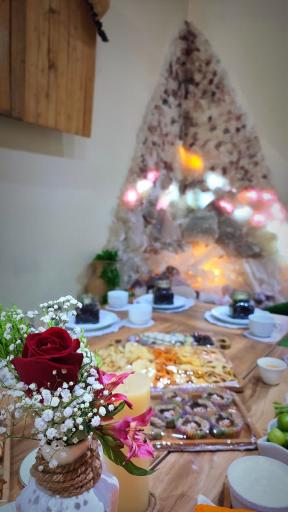 عکس کافه  دختران تبیانا