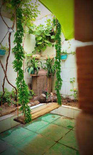 عکس کافه  دختران تبیانا