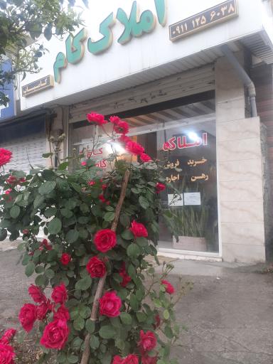 عکس مشاور املاک کام