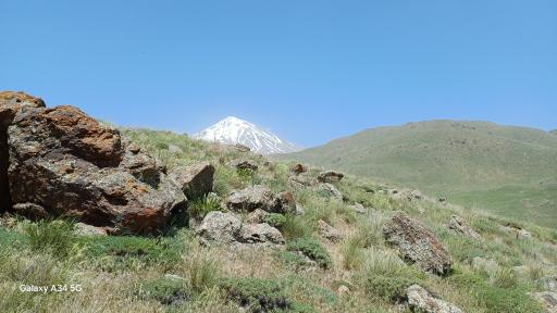 عکس دشت لار