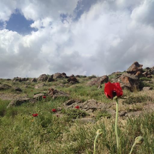 عکس دشت لار