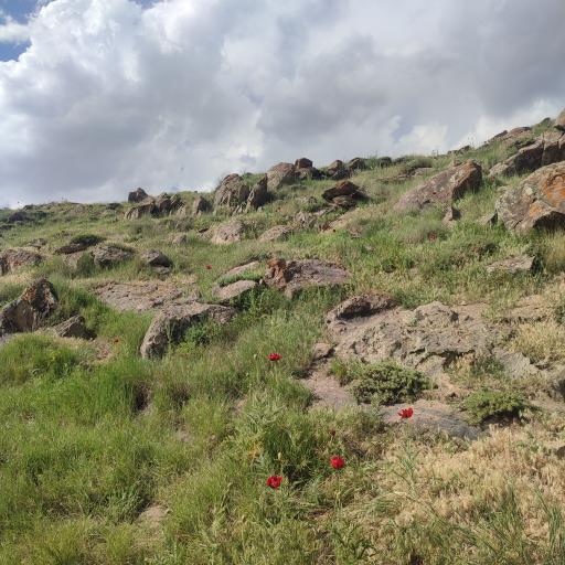 عکس دشت لار