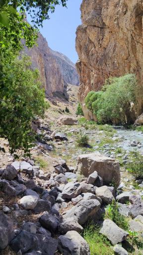 عکس دشت لار