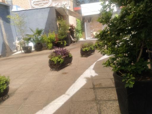 عکس رستوران شاندیز