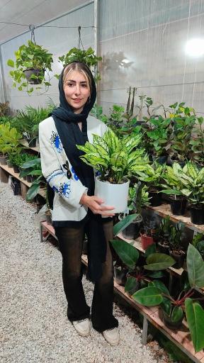 گلخانه آدنیس 