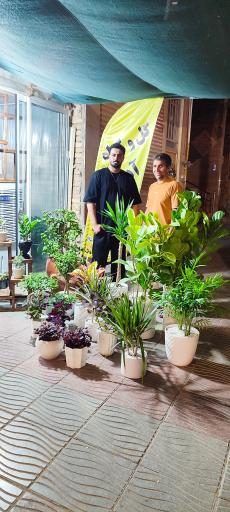 گلخانه آدنیس 