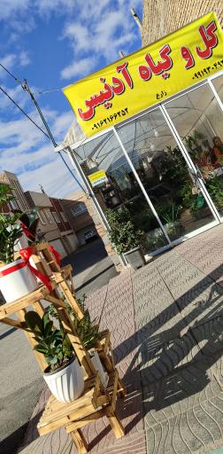 گلخانه آدنیس 