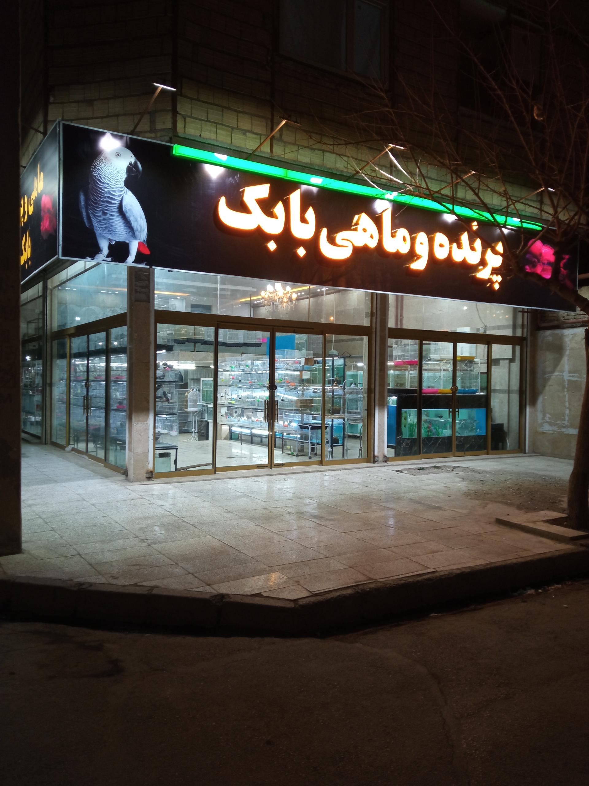 عکس پرنده بابک