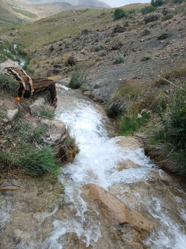 عکس دشت لار