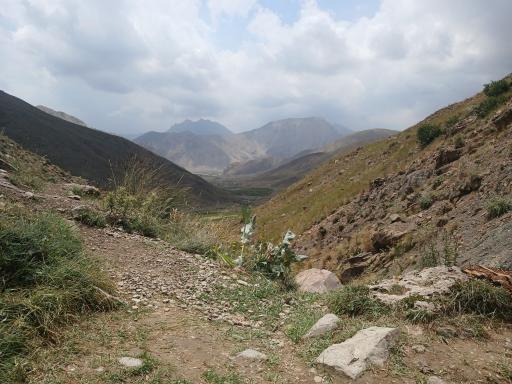 عکس دشت لار