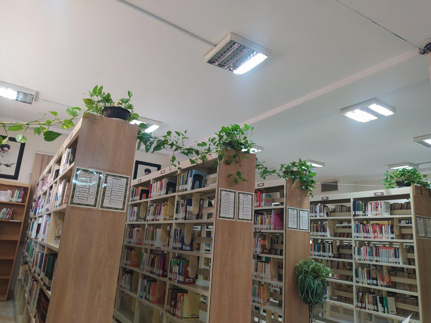 عکس کتابخانه زنده یاد محمدی