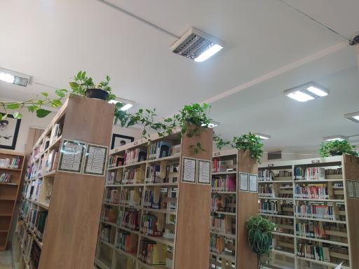 عکس کتابخانه زنده یاد محمدی