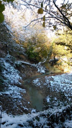 عکس انجیلی چال