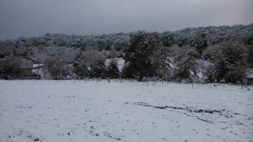 عکس انجیلی چال