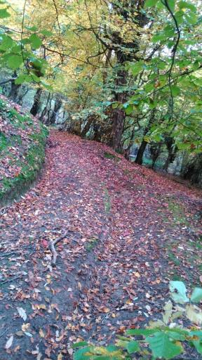 عکس انجیلی چال