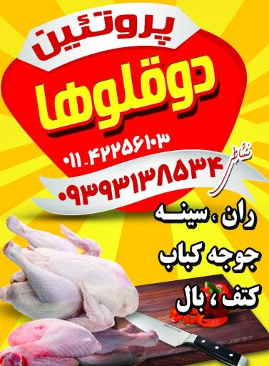 عکس مرغ فروشی دوقلوها