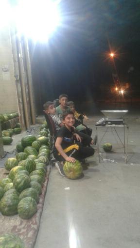 عکس هندوانه فروشی مردی