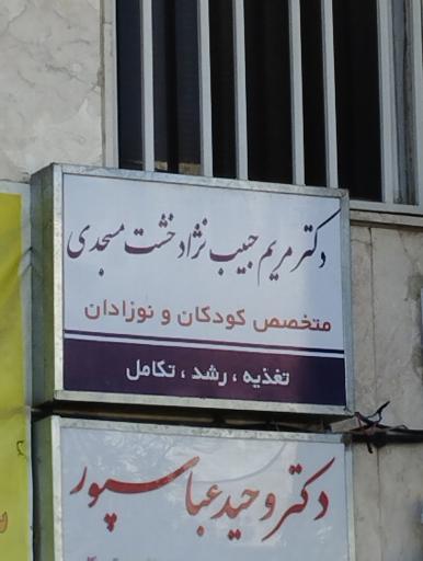 عکس دکتر مریم حبیب نژاد خشت مسجدی