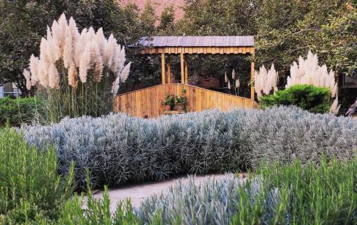 عکس شرکت داروسازی آریوژن فارمد