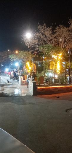 عکس کباب ذغالی