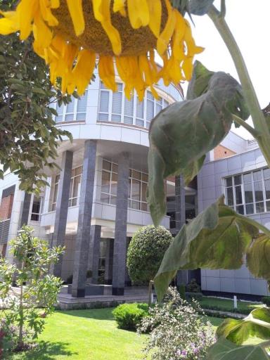 عکس شرکت داروسازی آریوژن فارمد