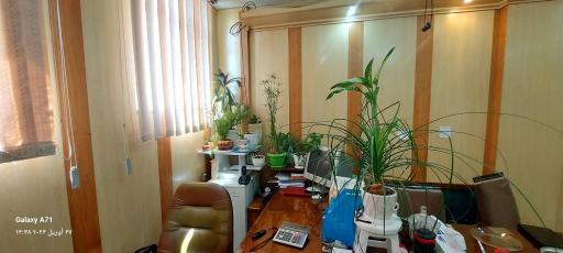 عکس تولیدی ساناریس 