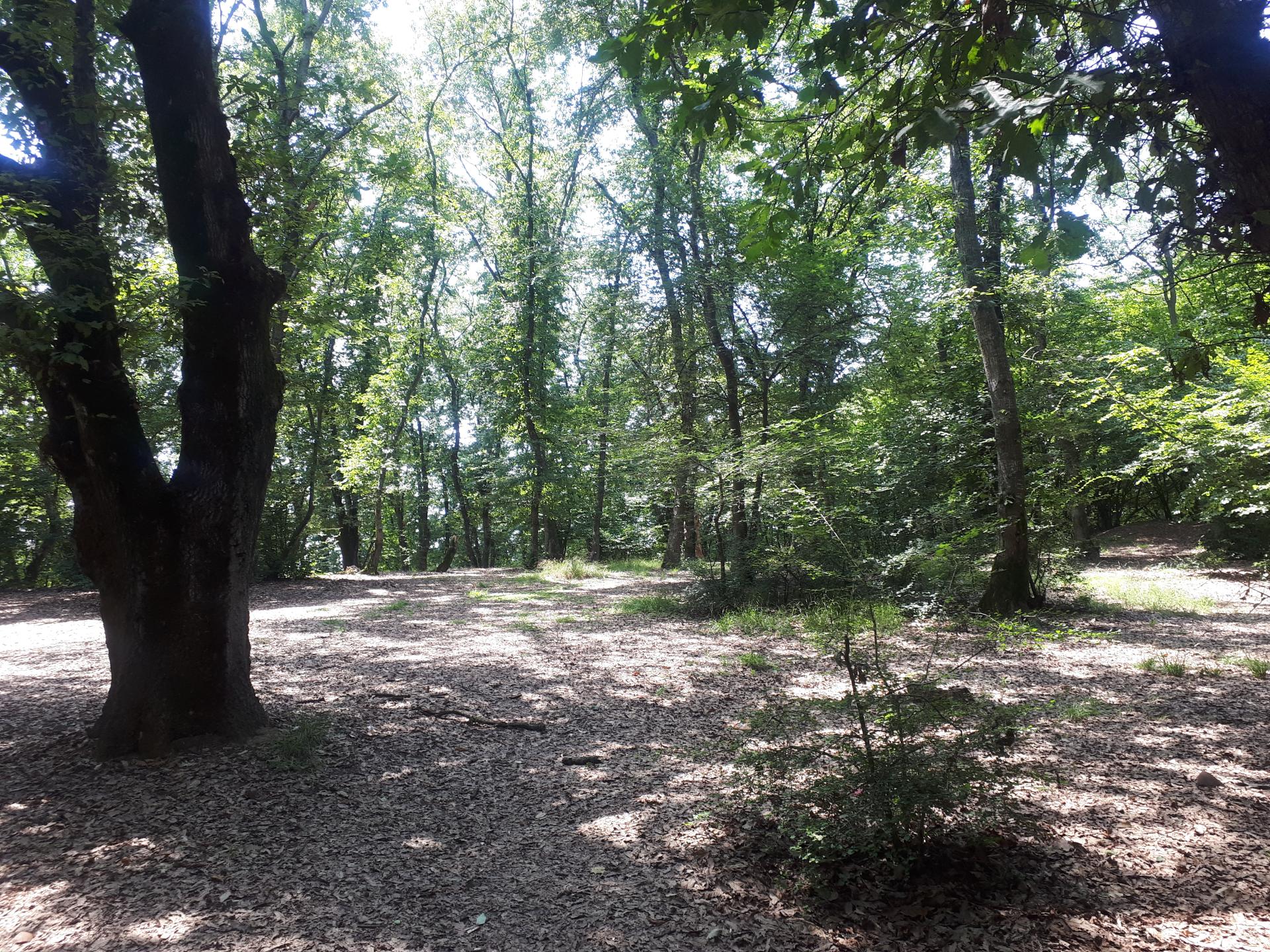 عکس انجیلی چال