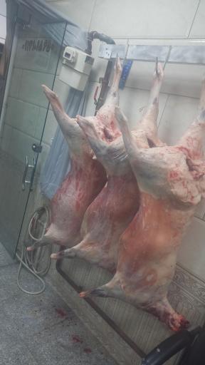 عکس سوپر گوشت شبان