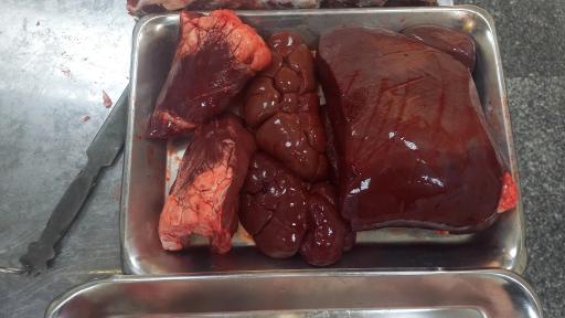 عکس سوپر گوشت شبان