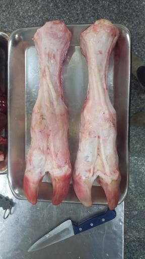 عکس سوپر گوشت شبان